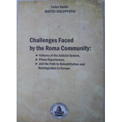 Challenges Faced by the Roma Community: Failures of the Judicial System, Prison Experiences, and the Path to Rehabilitation and Reintegration in Europe