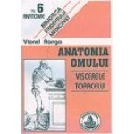ANATOMIA OMULUI - VISCERELE TORACELUI NR.6
