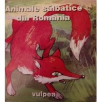 ANIMALE SALBATICE DIN ROMANIA